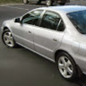 Meet your Posher, Dziki